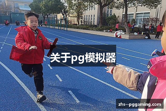 关于pg模拟器